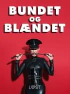 Bundet og blændet - erotiske noveller