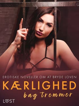 Kærlighed bag tremmer - erotiske noveller om at bryde loven af Christina Tempest