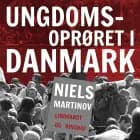 Ungdomsoprøret i Danmark