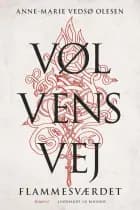 Vølvens vej - Flammesværdet
