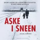 Aske i sneen