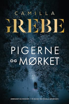 Pigerne og mørket af Camilla Grebe