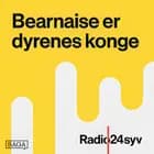 Line Knutzon og Naja Marie Aidt på Restaurant Kul i København