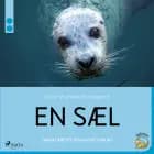 En sæl