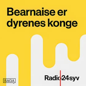 Restaurant Domestic i Århus af Martin Kongstad