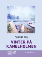 Vinter på Kanelholmen (Storskrift)