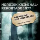 Bjørnejagt for højesteret
