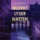 Mørkt lyser natten