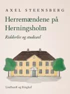 Herremændene på Herningsholm