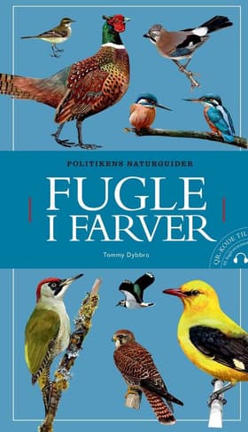 Fugle i farver af Tommy Dybbro