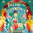 Pigerne fra Stjernedalen - og dagbogens hemmelighed