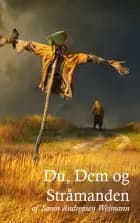 Du, Dem og Stråmanden