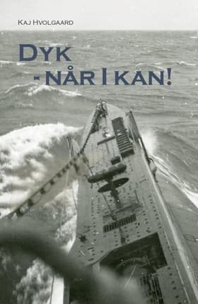 Dyk - Når I kan! af Kaj Hvolgaard