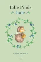 Lille Pinds hule