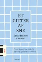 Et gitter af sne