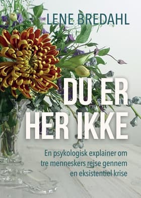 Du er her ikke af Lene Bredahl