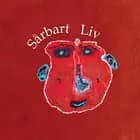 Sårbart Liv