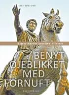 Benyt øjeblikket med fornuft