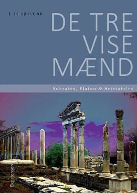 De tre vise mænd af Lise Søelund