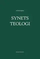 Synets teologi