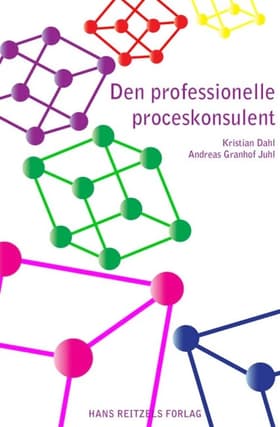 Den professionelle proceskonsulent af Kristian Dahl