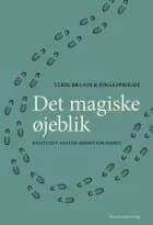 Det magiske øjeblik - kvalitativ analyse skridt for skridt