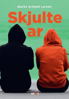 Skjulte ar af Bjarke Schjødt Larsen
