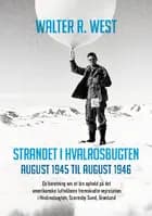 Strandet i Hvalrosbugten, august 1945 til august 1946