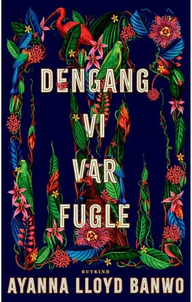 Dengang vi var fugle af Ayanna Lloyd Banwo