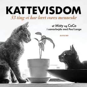 Kattevisdom af Misty