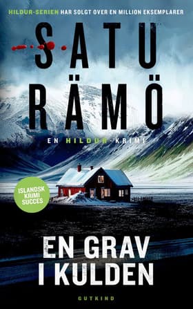 En grav i kulden af Satu Rämö