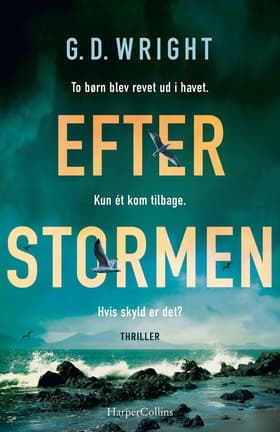 Efter stormen af G. D. Wright