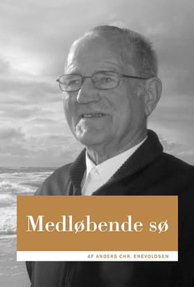 Medløbende sø af Anders Chr. Enevoldsen