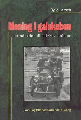 Mening i galskaben af Larsen B