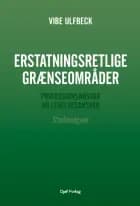 Erstatningsretlige grænseområder - studieudgave