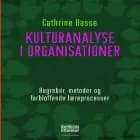 Kulturanalyse i organisationer