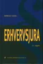 Erhvervsjura - i et markedsøkonomisk perspektiv