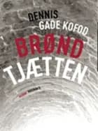 Brøndtjætten