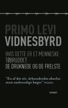 Vidnesbyrd