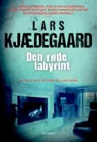 Den røde labyrint