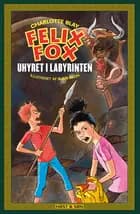 Uhyret i labyrinten