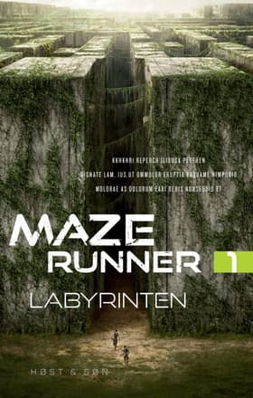 Labyrinten af James Dashner