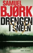 Drengen i sneen