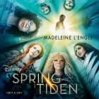 Et spring i tiden