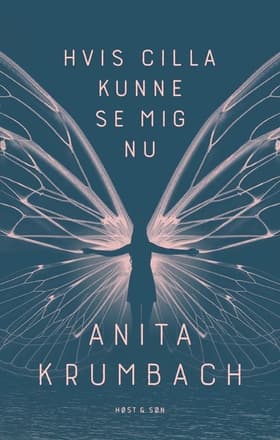 Hvis Cilla kunne se mig nu af Anita Krumbach