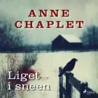 Liget i sneen