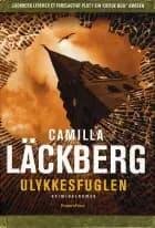 Ulykkesfuglen