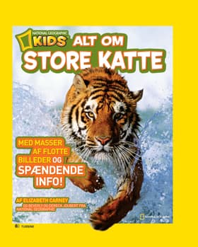 Alt om store katte af Elizabeth Carney