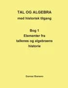 Tal og algebra med historisk tilgang