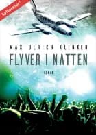 Flyver i natten